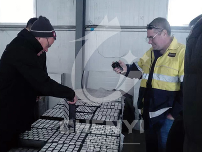 Liners inspection